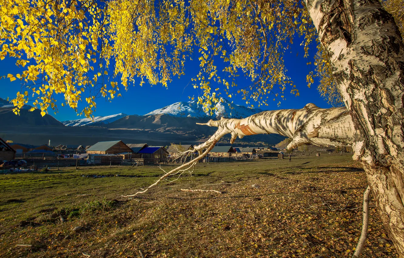 Photo wallpaper autumn, trees, mountains, home, village