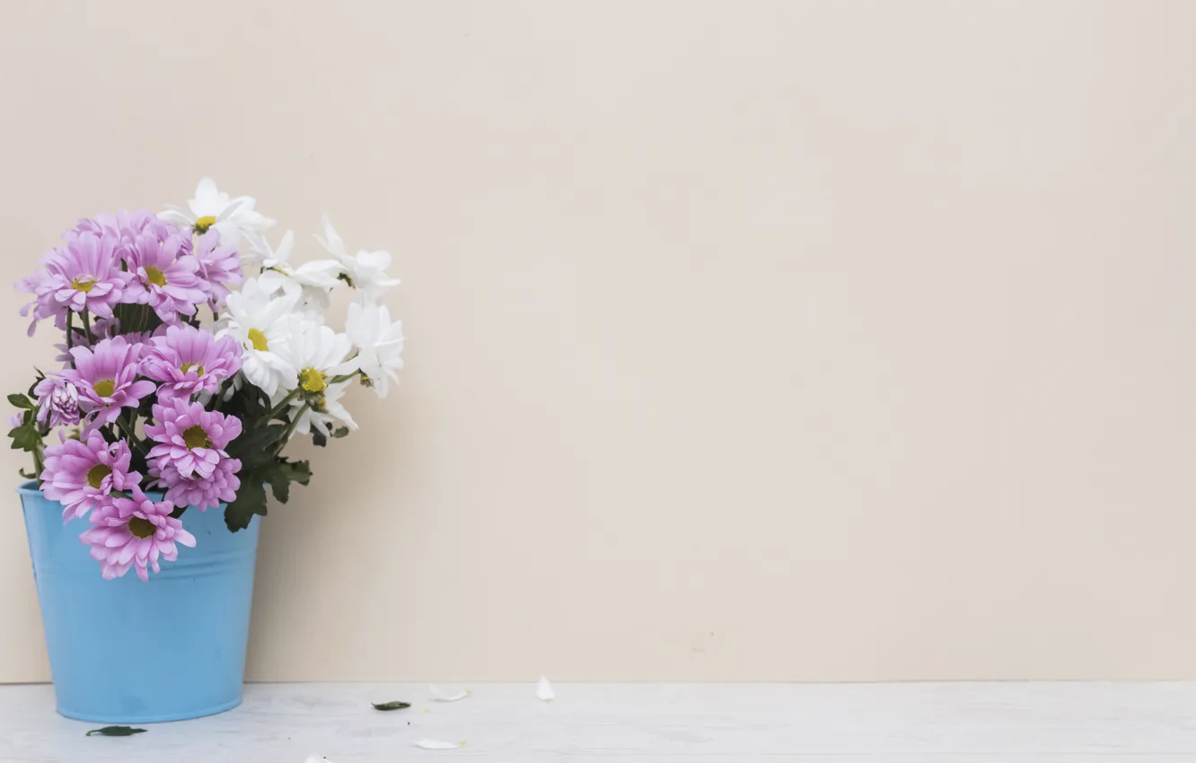 Photo wallpaper flowers, bouquet, pot, Chrysanthemum