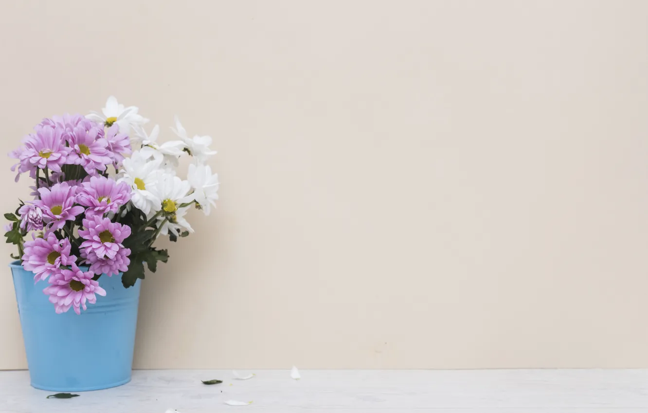 Photo wallpaper flowers, bouquet, chrysanthemum, pot