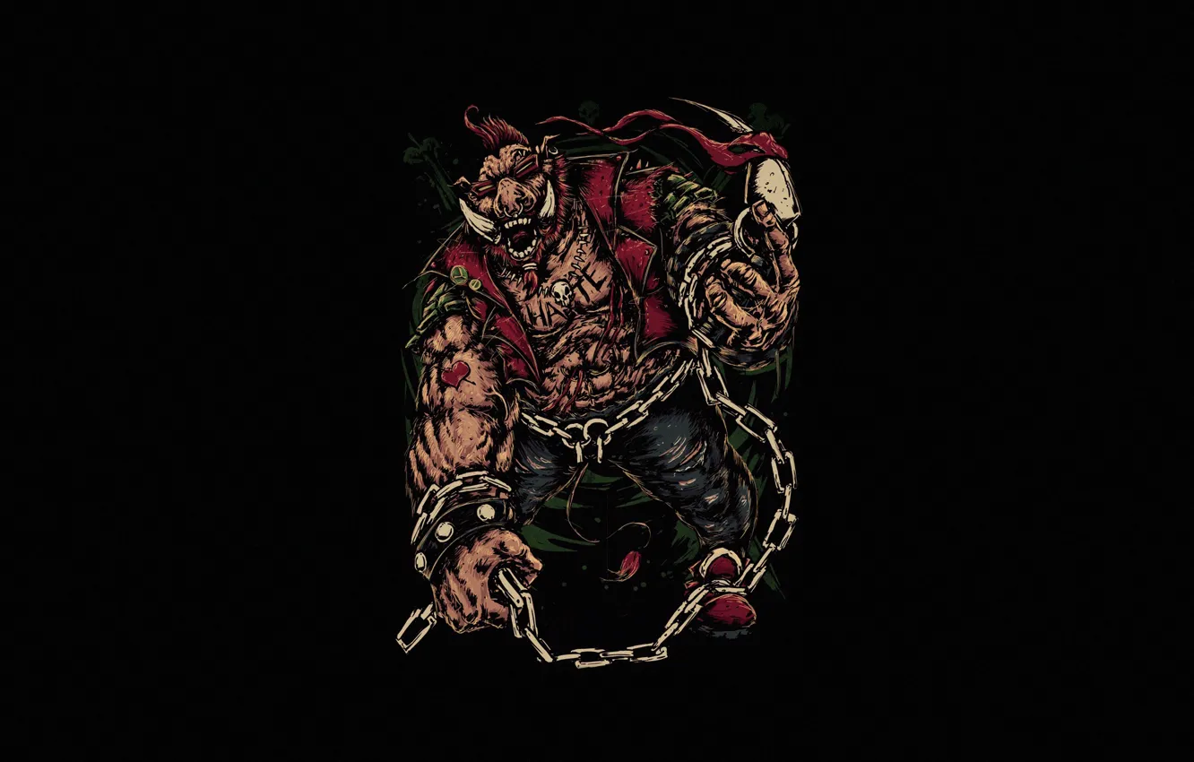 Photo wallpaper characters, background, Bogdan Timchenko, Teenage Mutant Ninja Turtles, Bebop and Rocksteady, Helix, Minimalism, TMNT