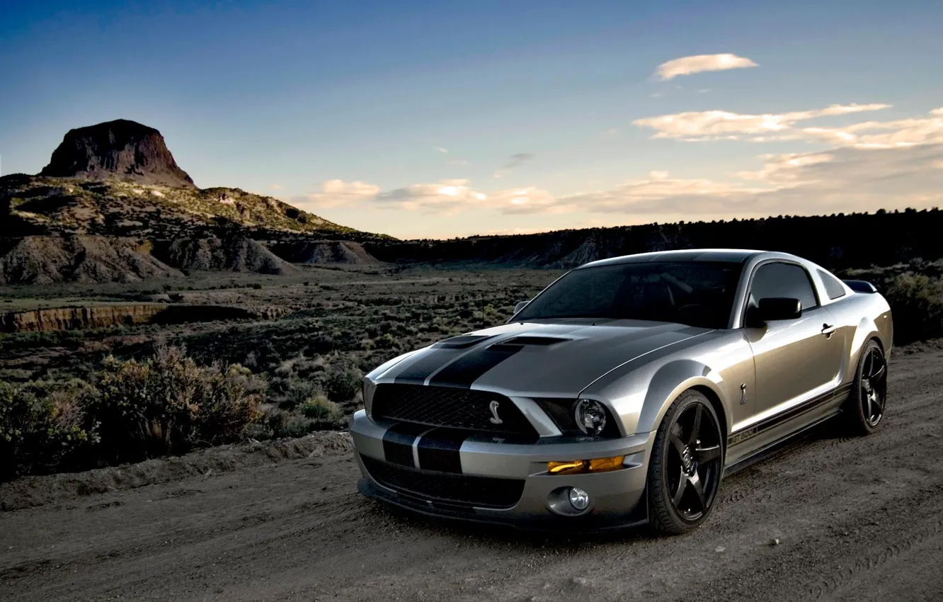 Photo wallpaper Mustang, Shelby, Cobra