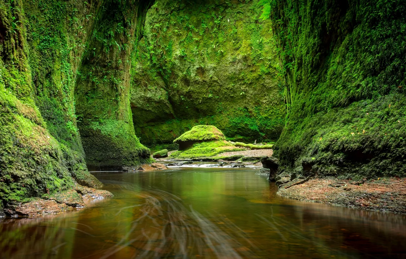 Photo wallpaper greens, stream, stones, rocks, moss, Scotland, Craighat