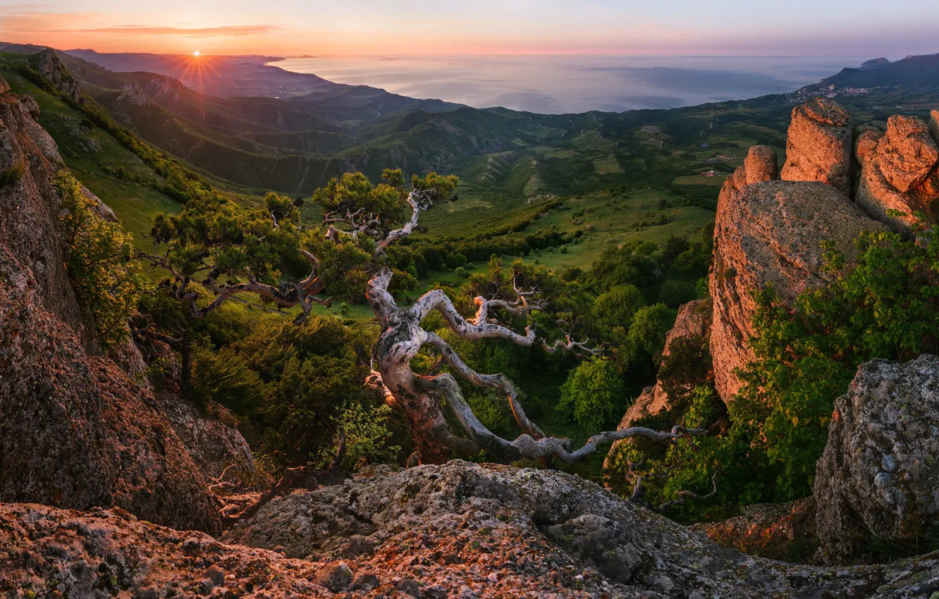 Photo wallpaper sunset, mountains, rocks, meadow, the view from the top