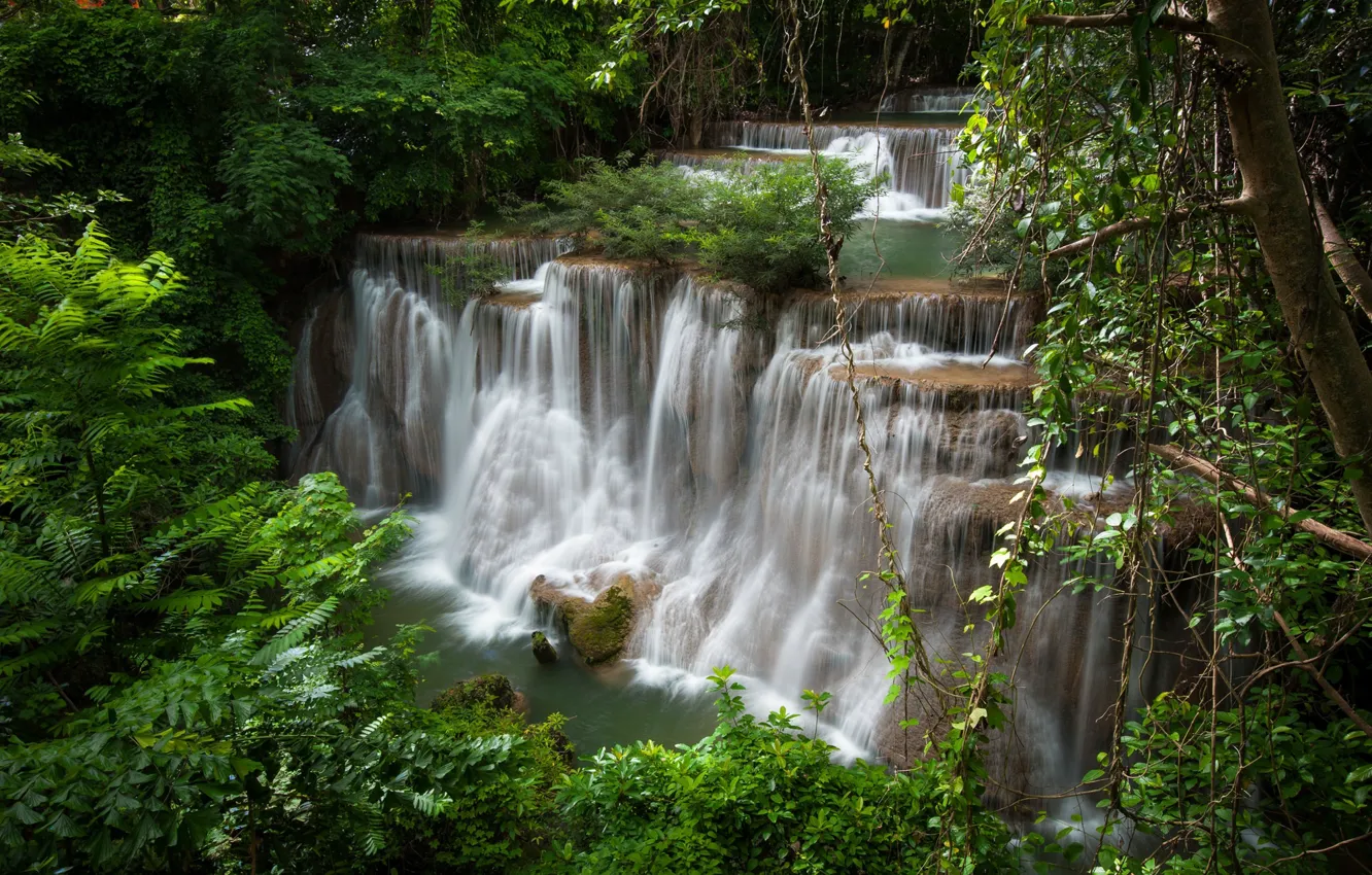 Photo wallpaper branches, nature, thickets, foliage, waterfall, Thailand, cascade