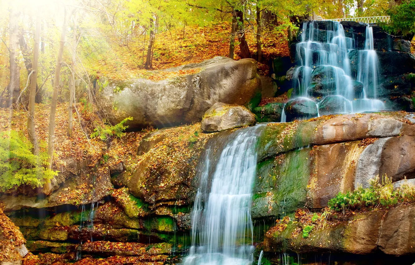 Photo wallpaper autumn, forest, leaves, rays, light, trees, rocks, waterfall