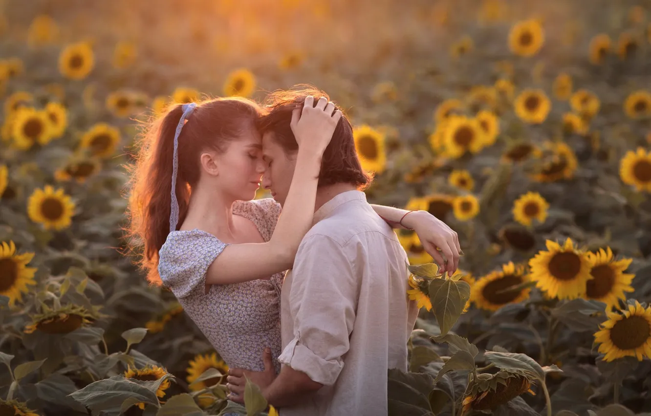 Photo wallpaper field, summer, girl, love, sunflowers, flowers, hugs, pair