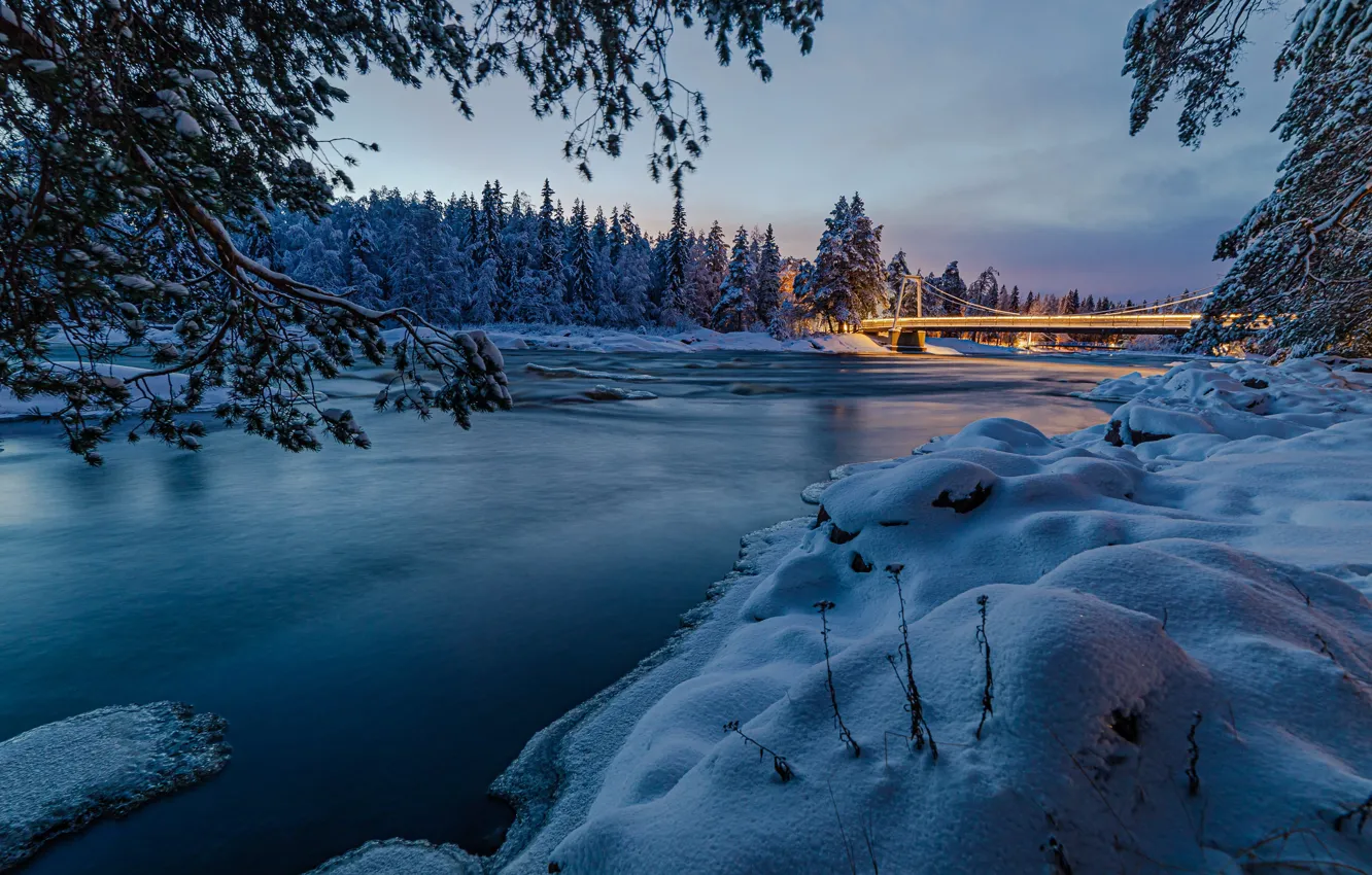 Photo wallpaper lights, forest, river, bridge, night, winter