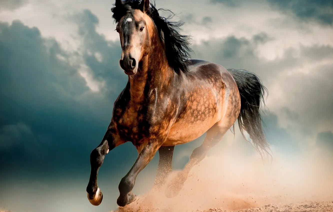 Photo wallpaper horse, horse, mane