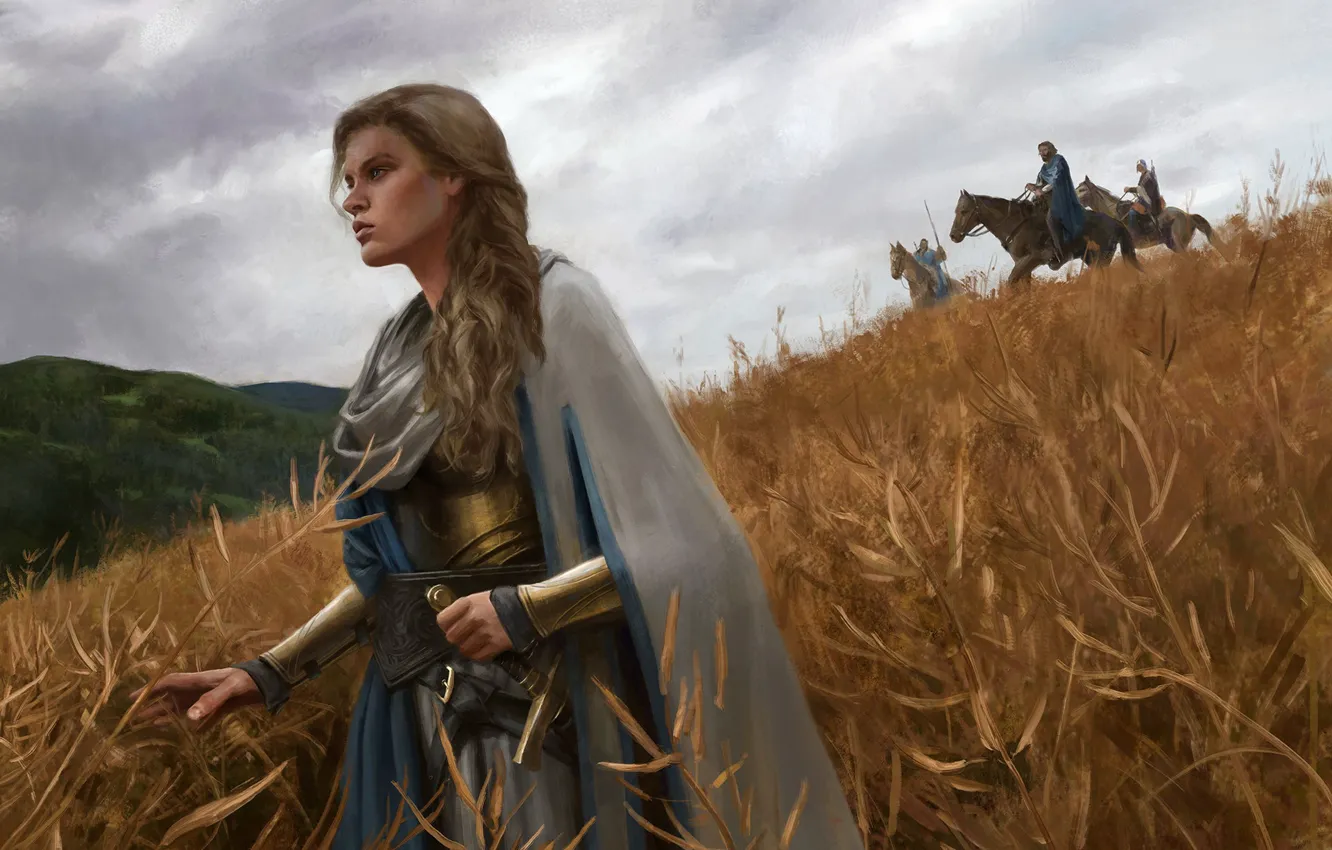 Photo wallpaper field, forest, the sky, girl, weapons, horse, sword, armor