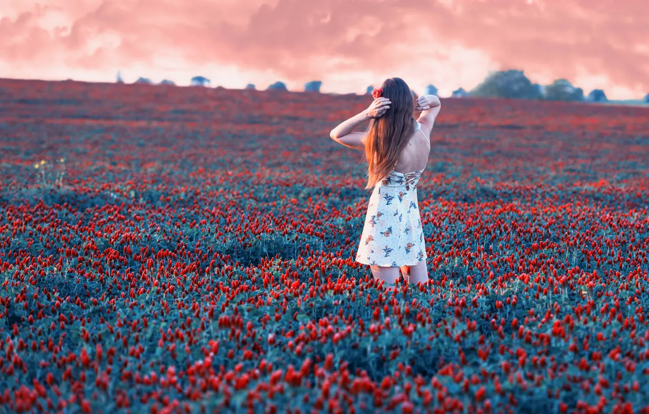 Photo wallpaper red, girl, rose, sky, field, nature, sunset, flowers