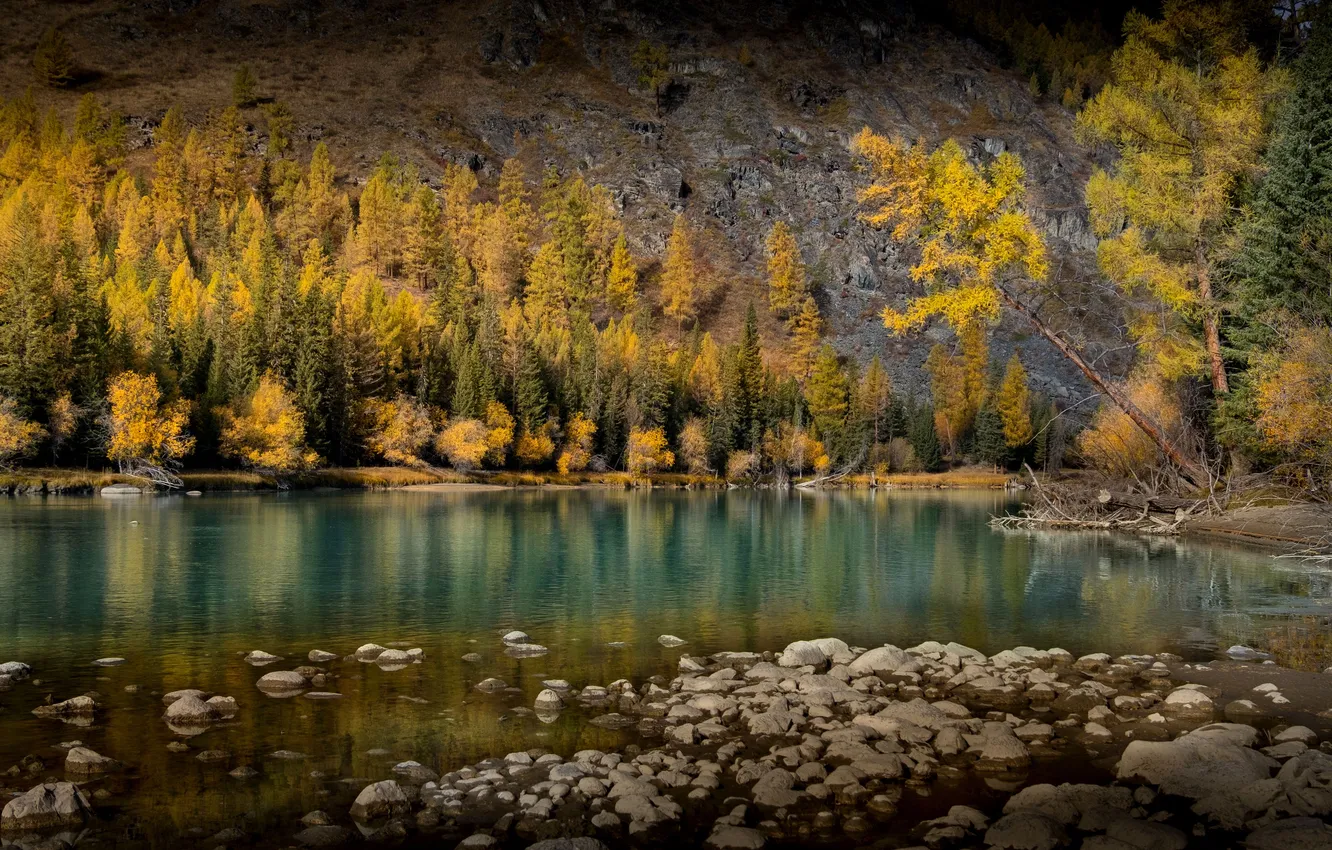 Photo wallpaper autumn, reflection, Altay, Argut, Nadezhda Demkina
