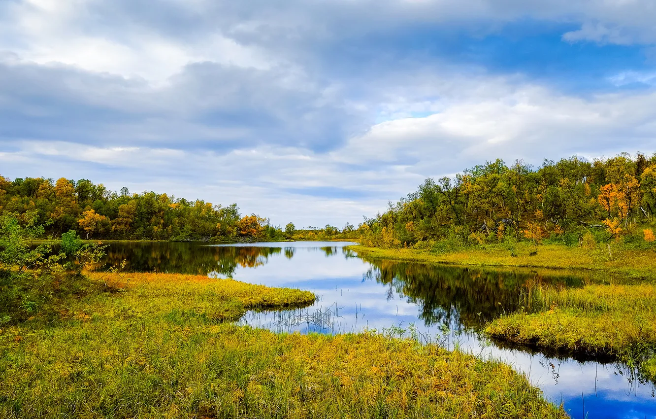 Photo wallpaper the sky, grass, water, clouds, trees, reflection, Norway, river
