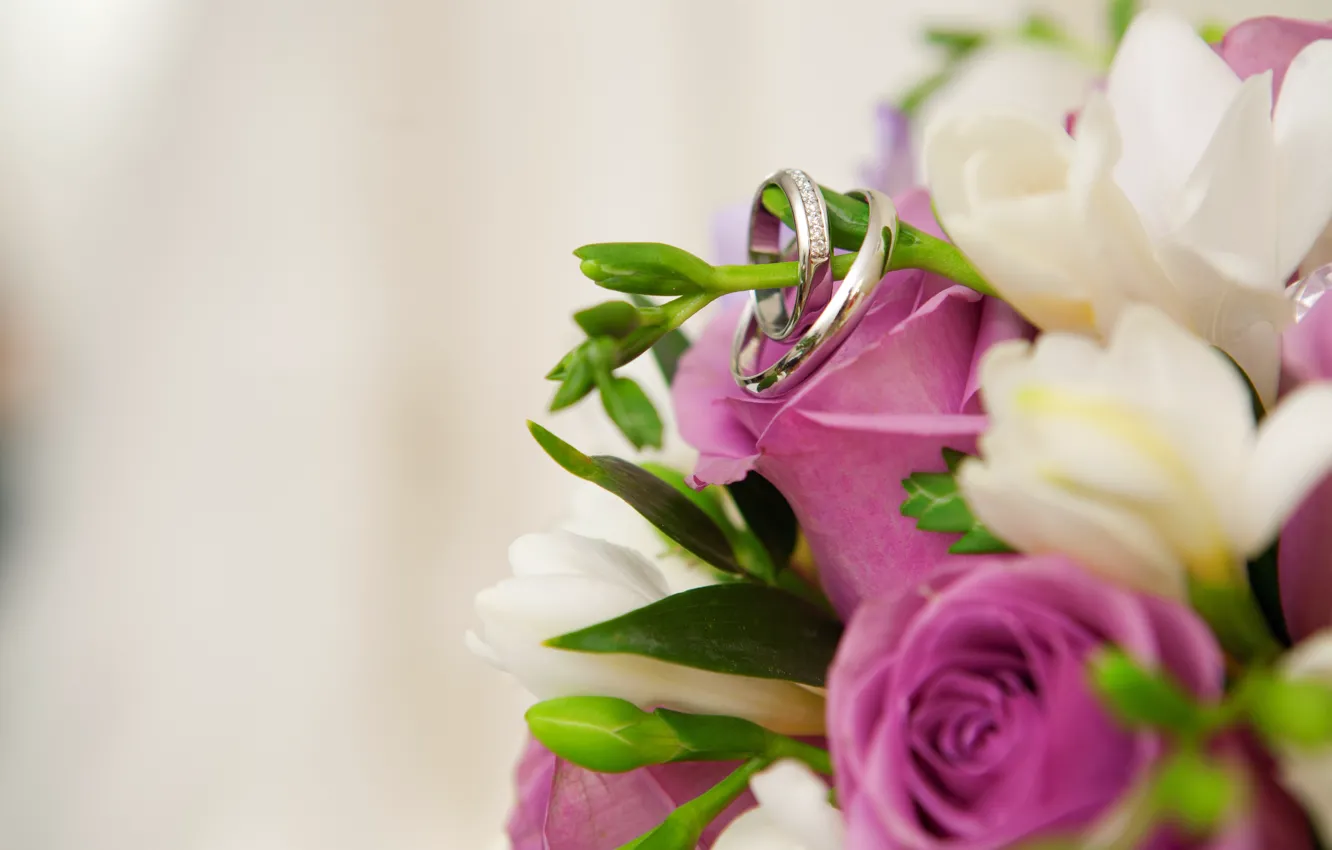 Photo wallpaper flowers, ring, buds