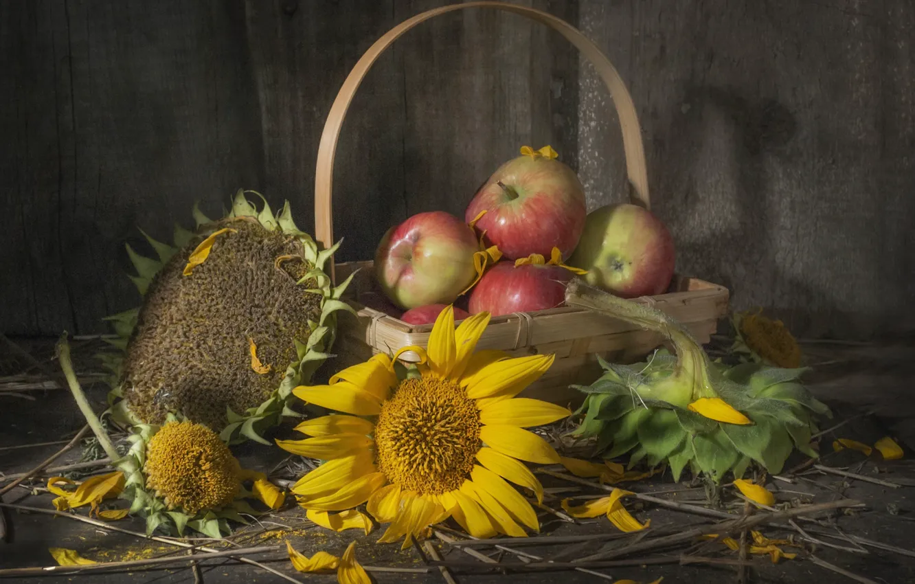 Photo wallpaper sunflowers, flowers, branches, yellow, apples, Board, petals, still life