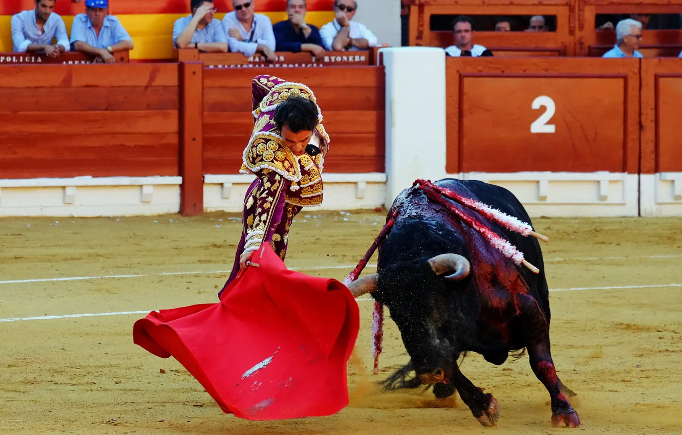 Photo wallpaper Spain, bull, Matador