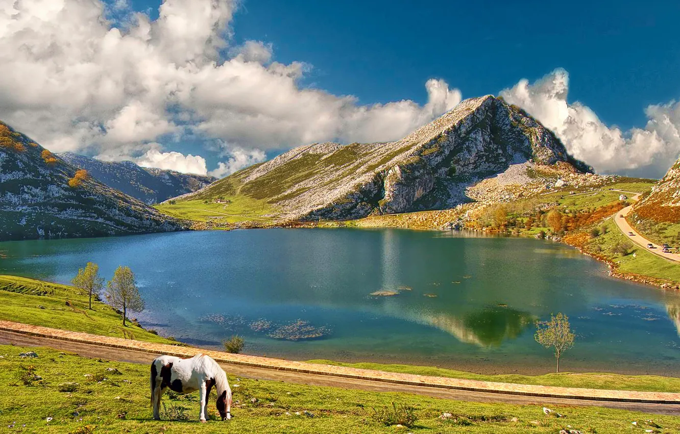 Photo wallpaper the sky, mountains, lake, horse
