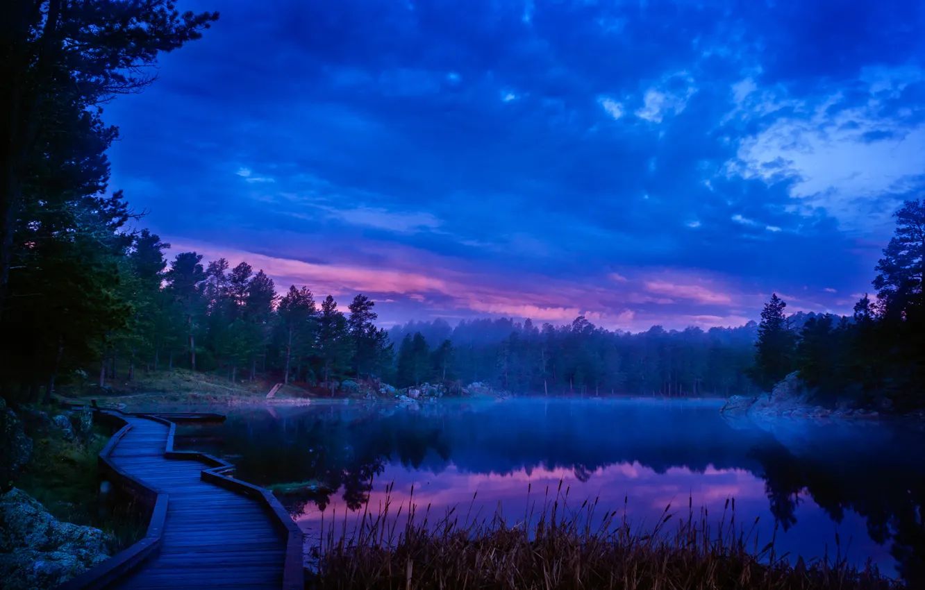 Photo wallpaper forest, the sky, clouds, trees, lake, glow