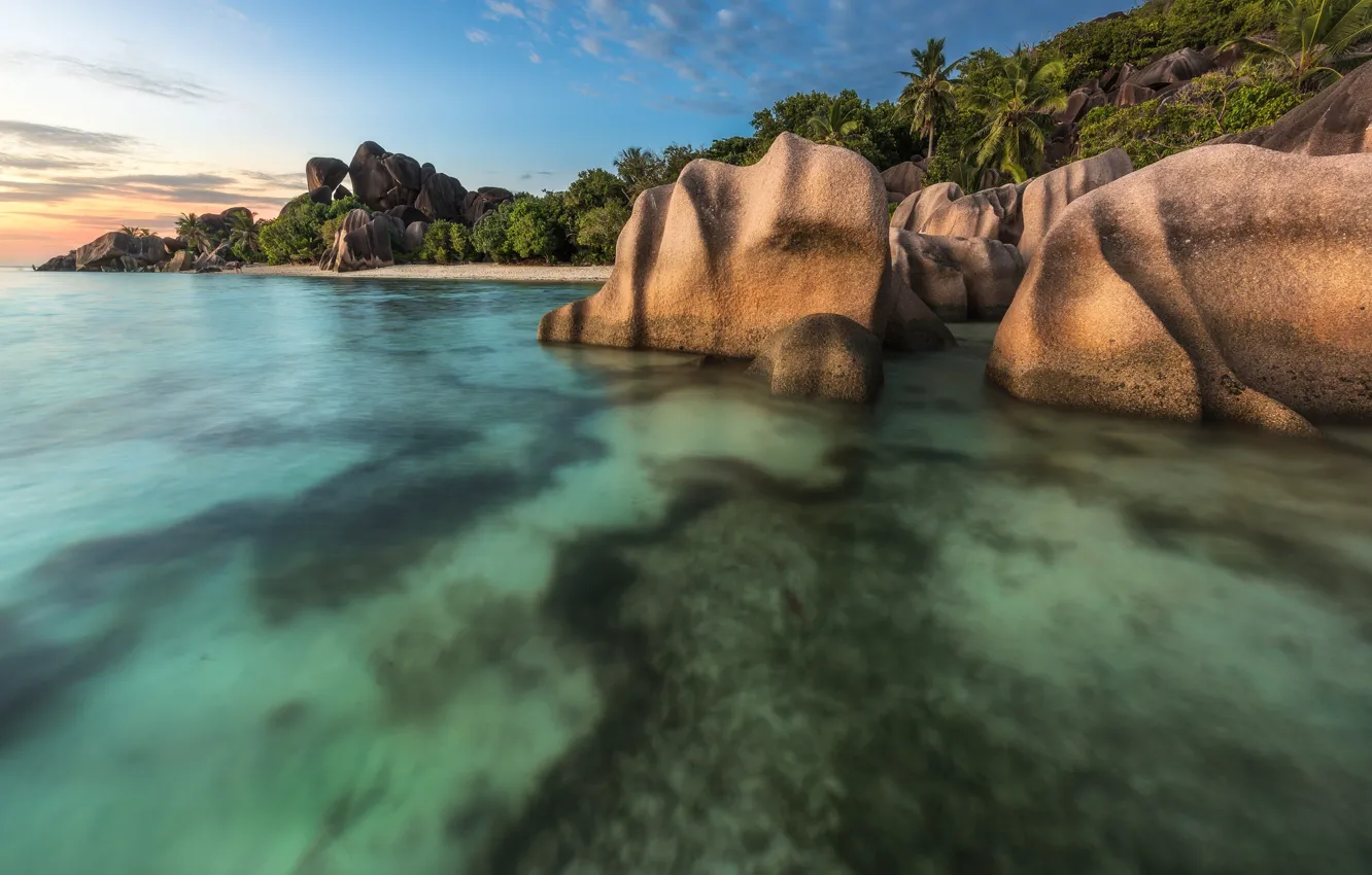 Photo wallpaper sea, beach, stones, palm trees, coast