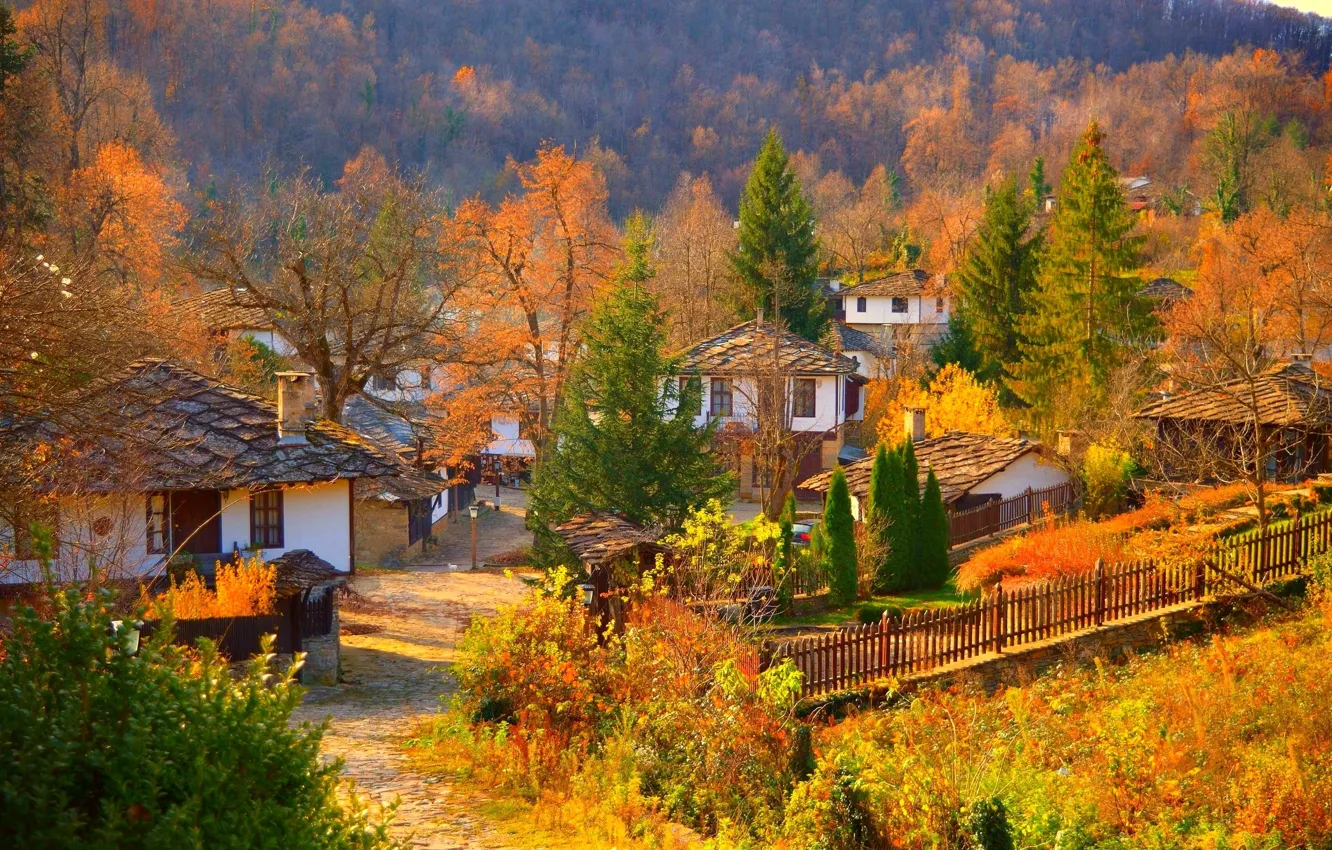 Photo wallpaper nature, home, village, trees, landscape, nature, autumn, village