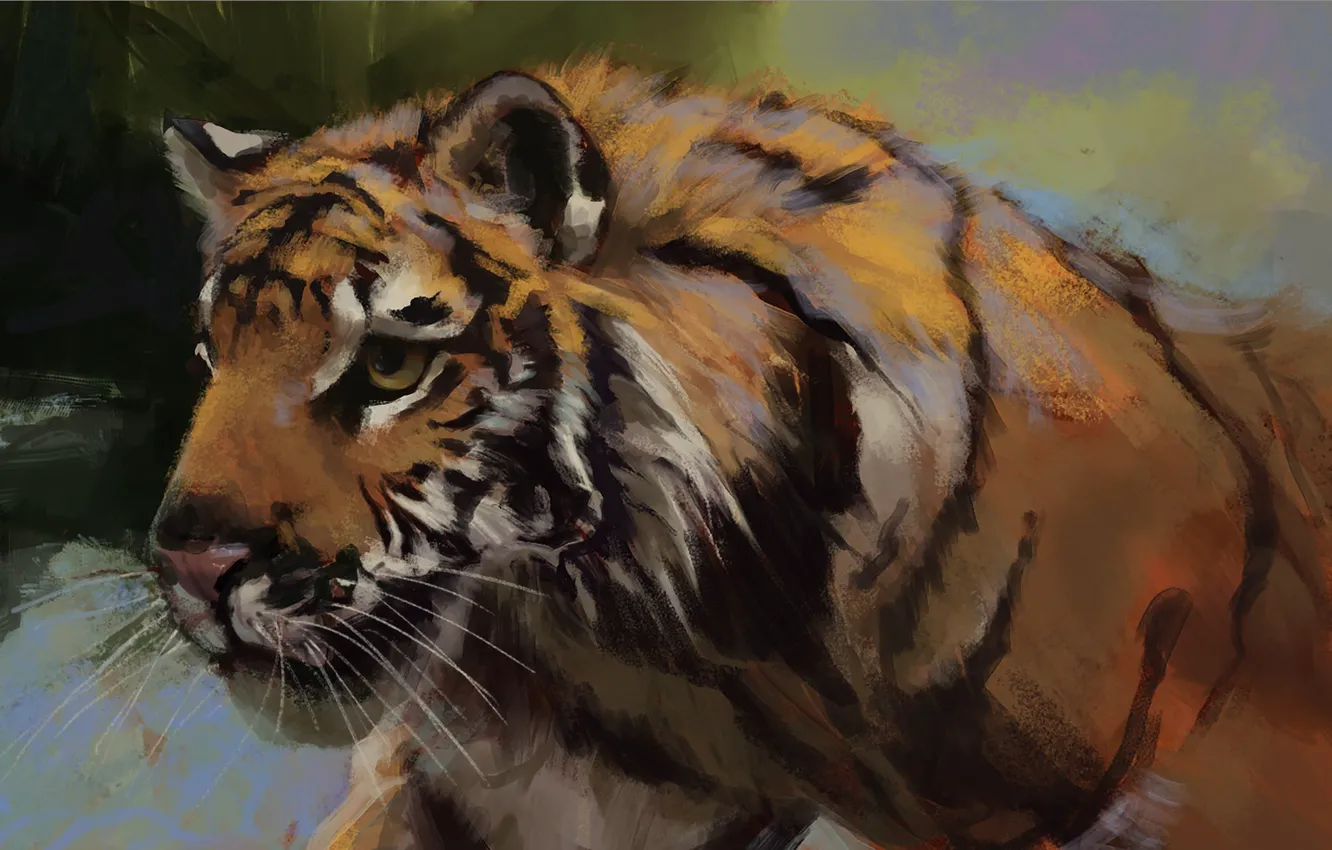 Photo wallpaper look, face, tiger, beast, tiger