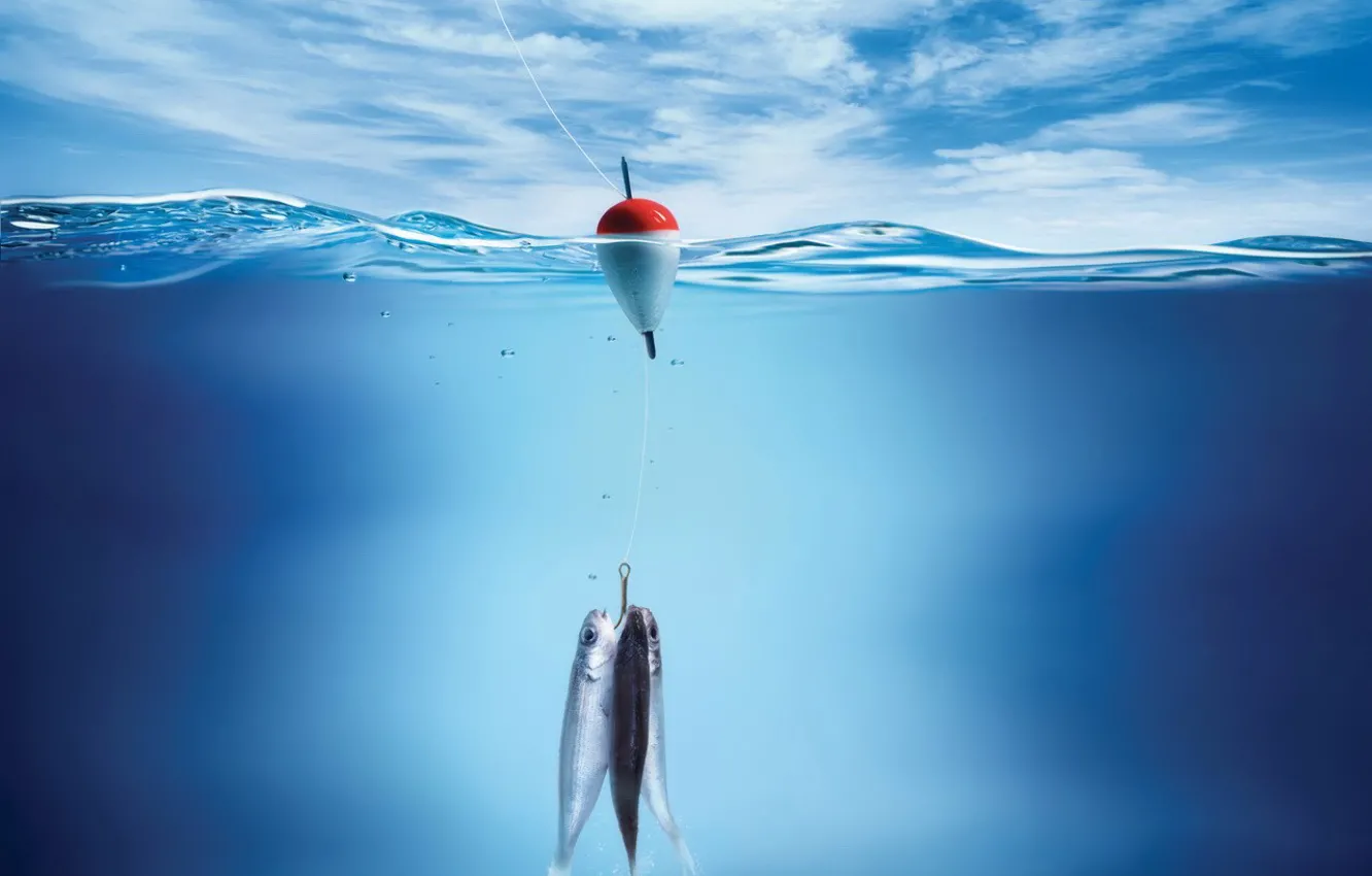 Photo wallpaper fishing, Water, fish, float