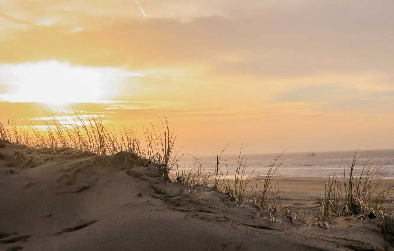 Photo wallpaper sea, shore, dunes