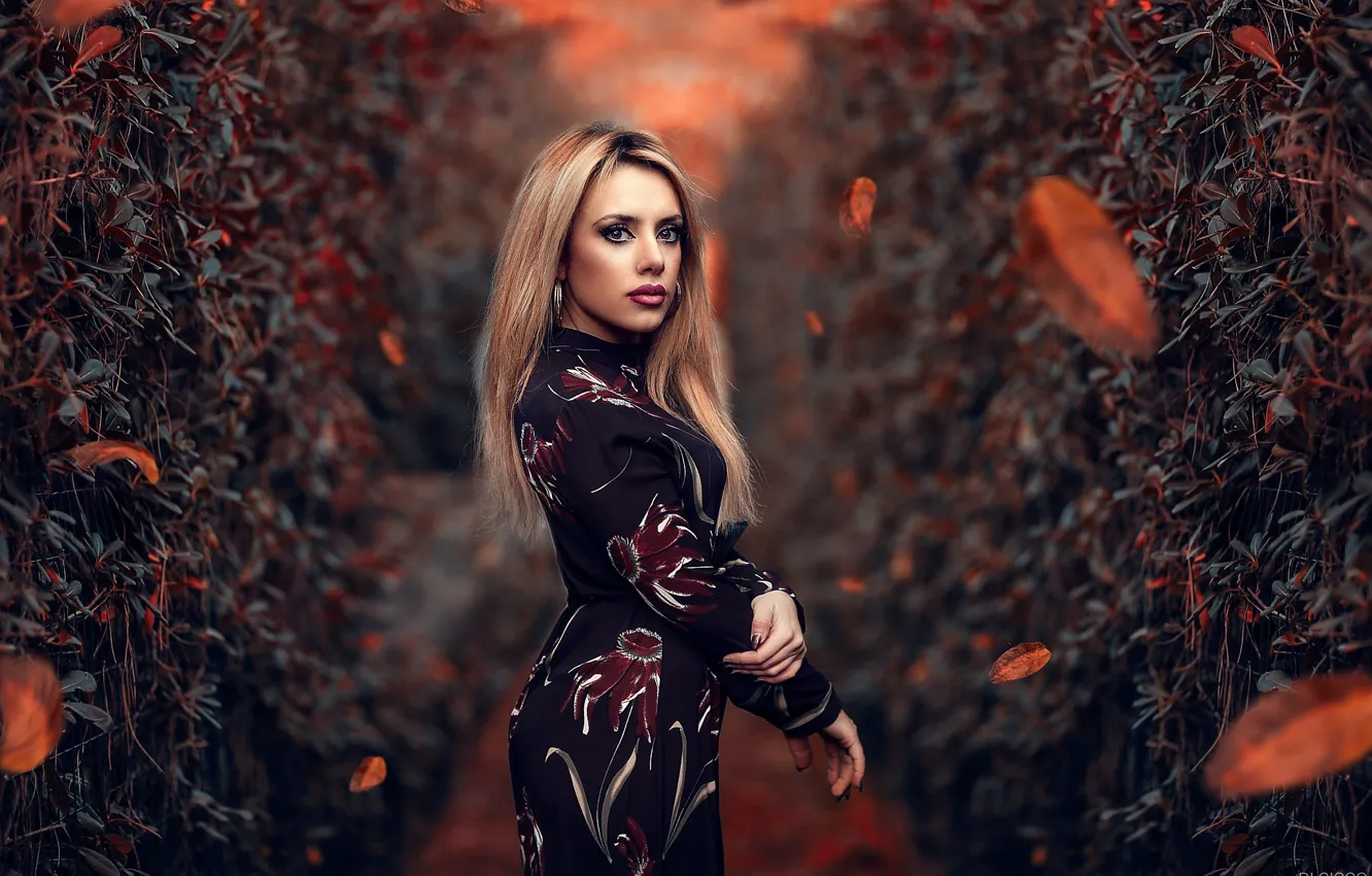 Photo wallpaper leaves, makeup, garden, figure, dress, hairstyle, blonde, the bushes