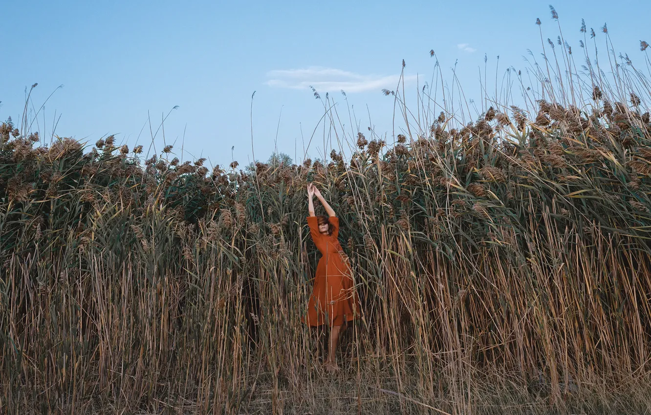 Photo wallpaper girl, nature, reed