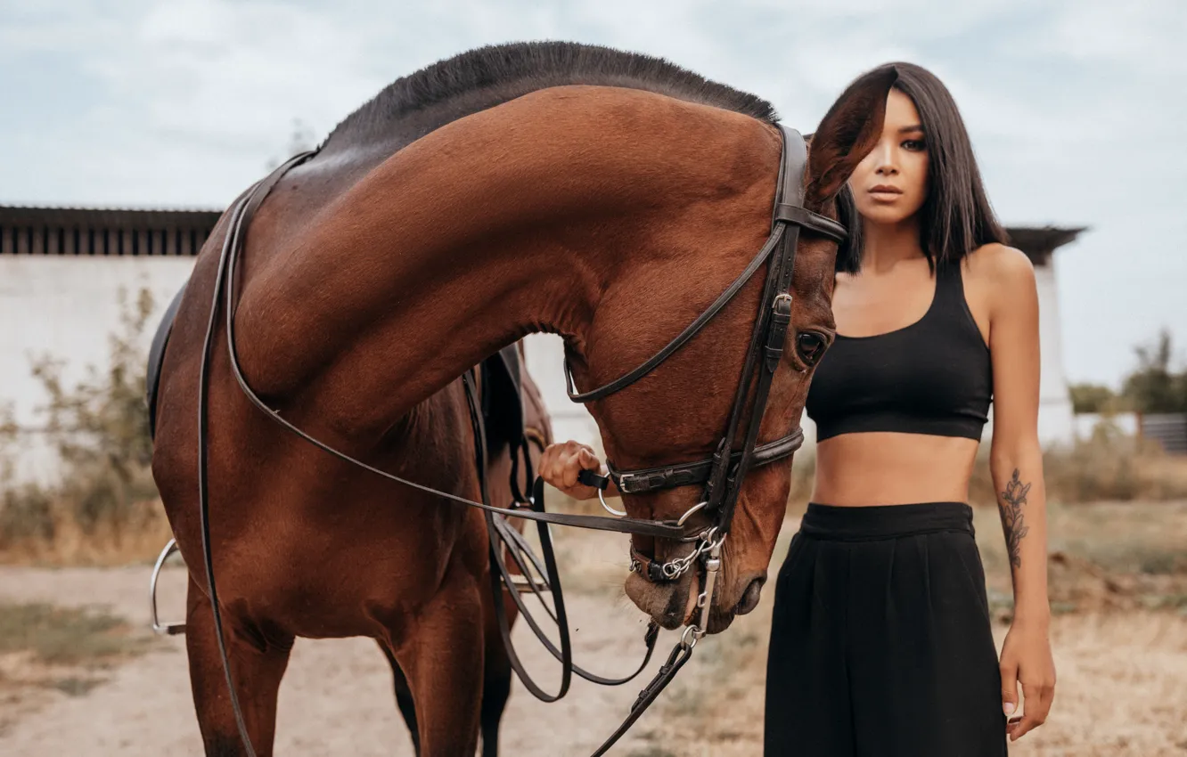 Photo wallpaper girl, horse, horse, brunette, tattoo, tattoo, top, pants