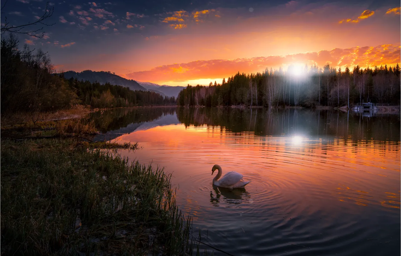 Photo wallpaper forest, the sky, sunset, mountains, nature, lake, reflection, Austria