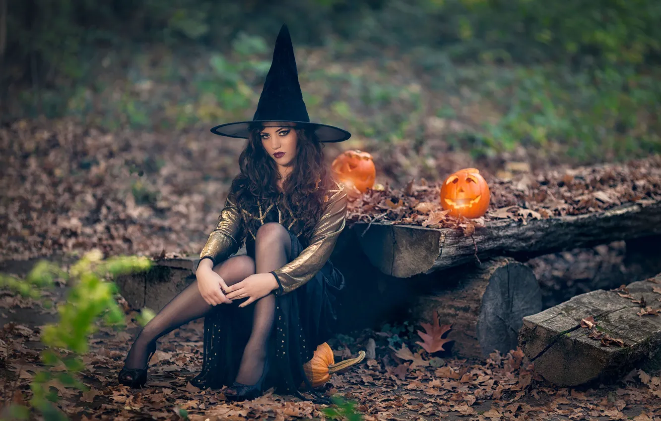 Photo wallpaper pumpkin, Halloween, witch, the witch