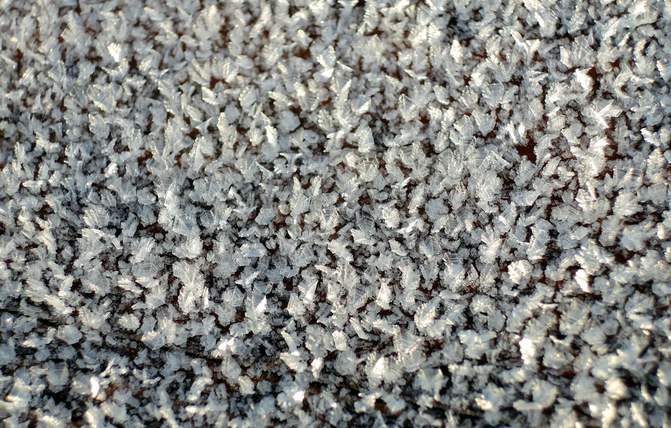 Photo wallpaper frost, ice, frost