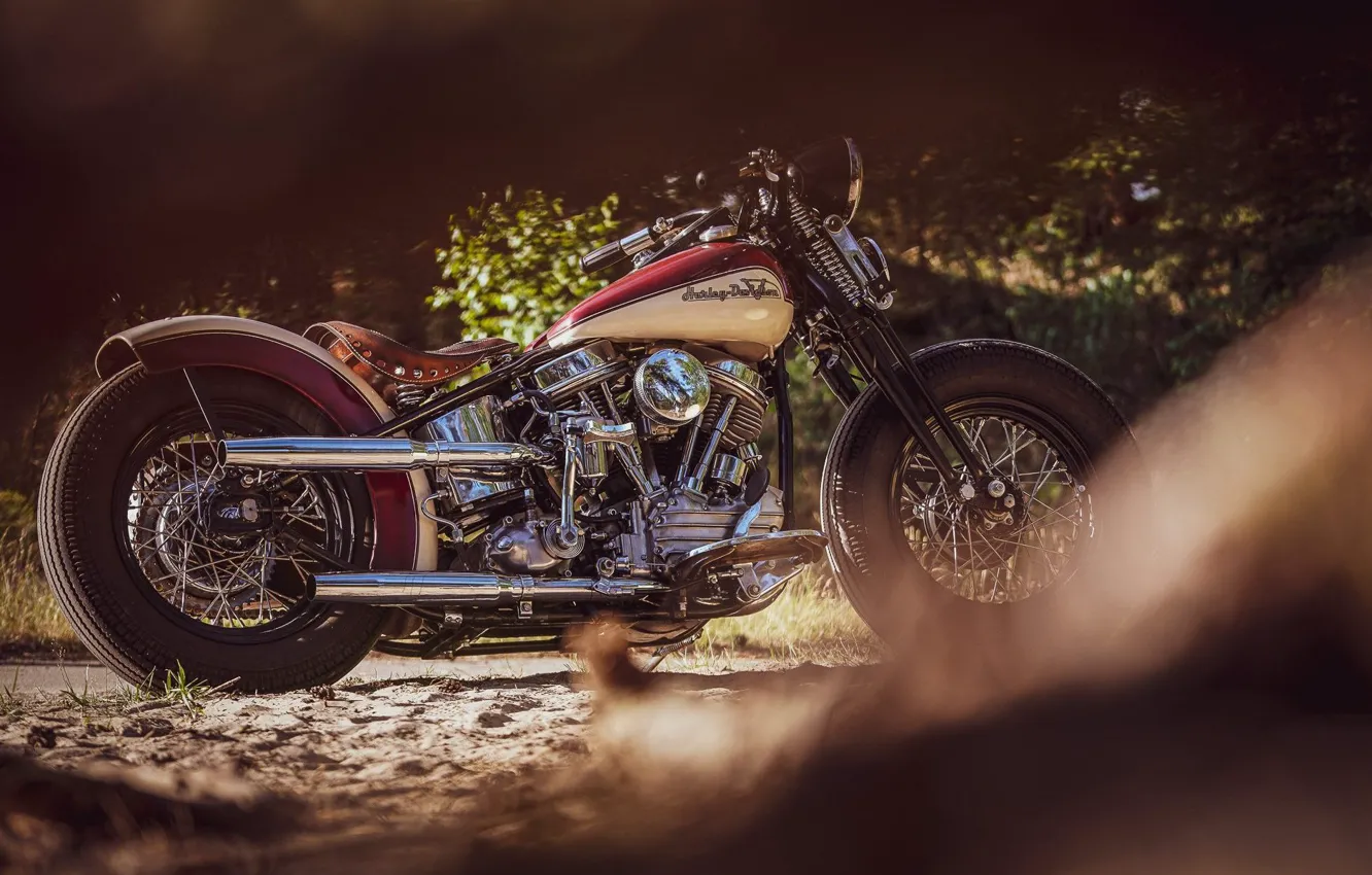 Photo wallpaper Custom, Motorcycle, Bobber, Thunderbike, By Thunderbike, Uncle Pan
