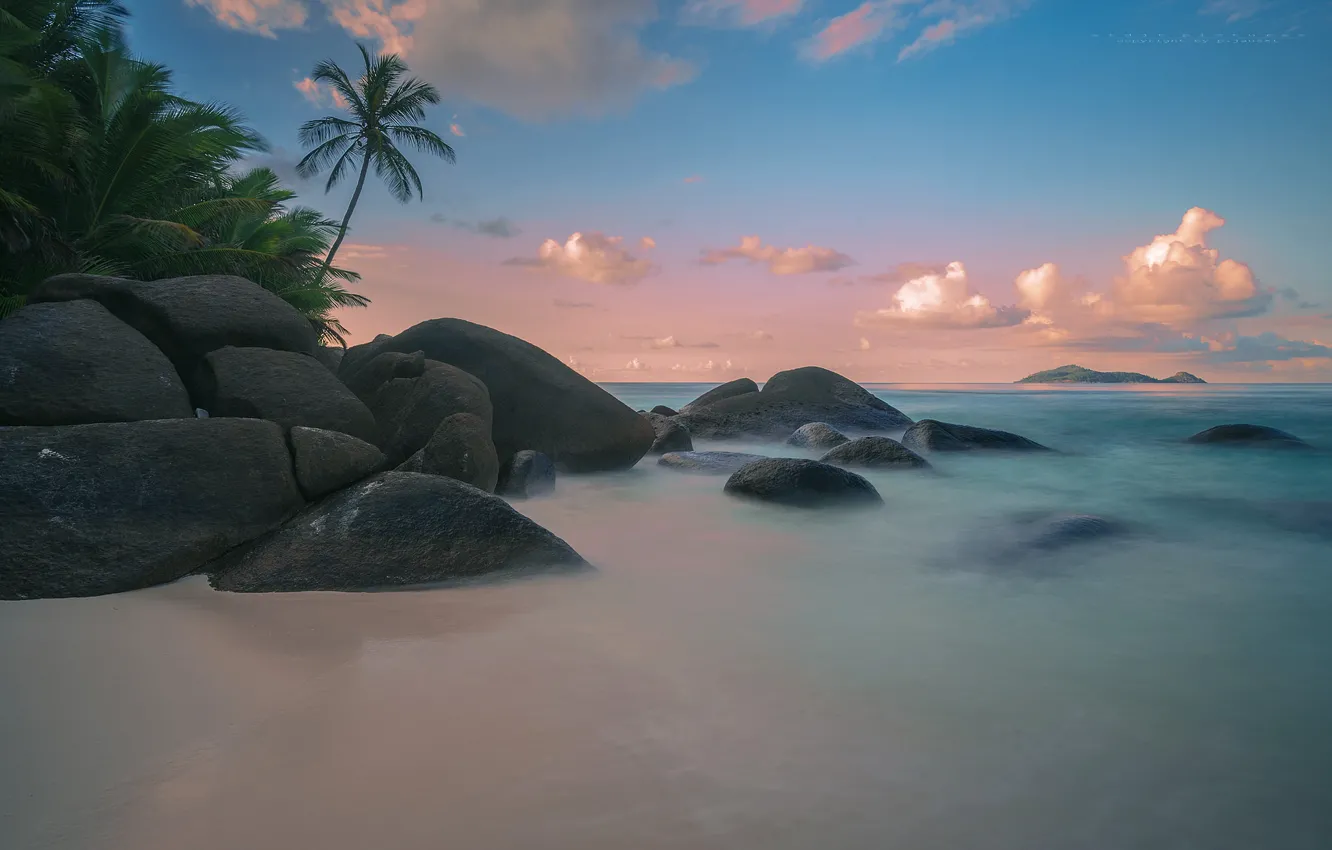 Photo wallpaper sea, beach, tropics, palm trees, coast