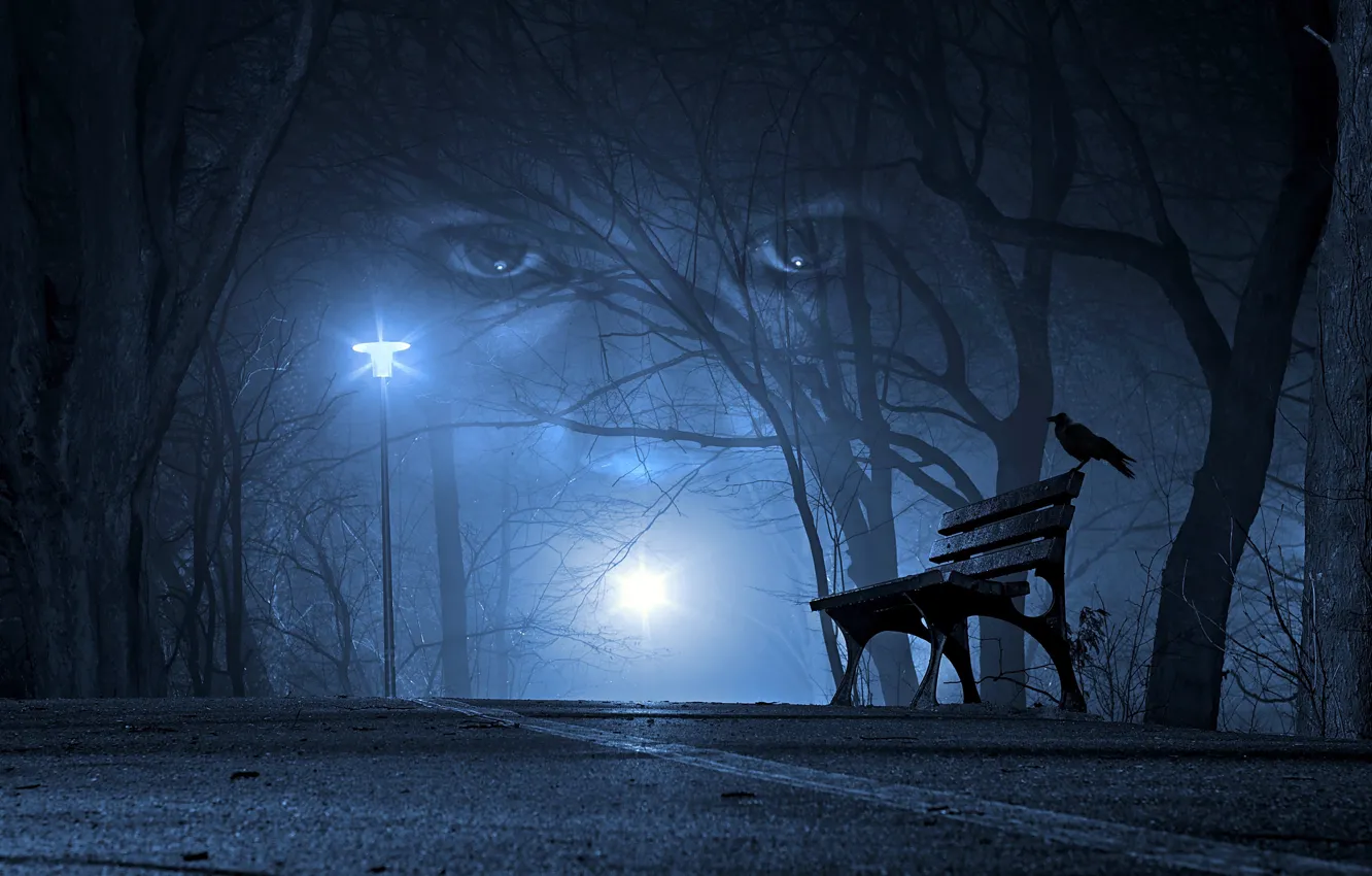 Photo wallpaper road, autumn, eyes, look, girl, light, trees, bench
