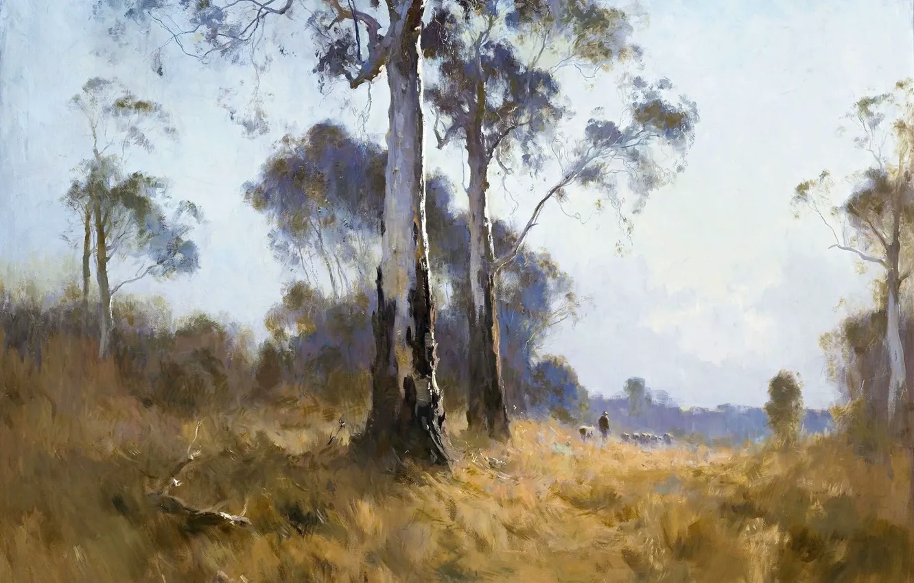 Photo wallpaper landscape, 1921, Penleigh Boyd, Penley Boyd, Ghost Gum at Kangaroo Flat