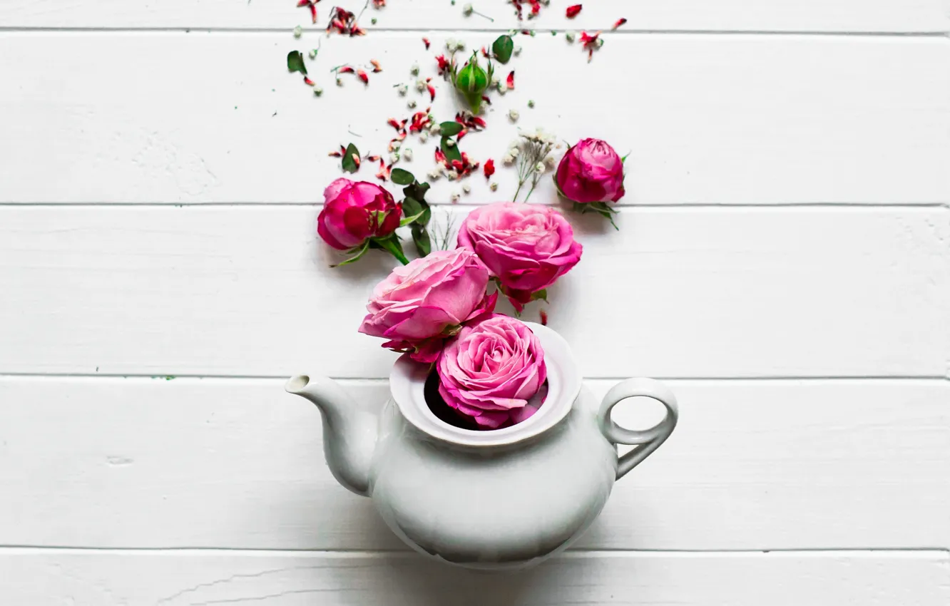 Photo wallpaper flowers, roses, pink, pink, flowers, beautiful, spring, roses