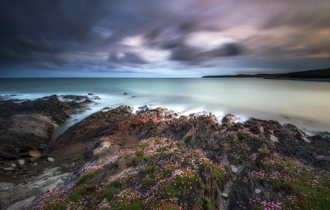 Photo wallpaper sea, flowers, rocks, coast