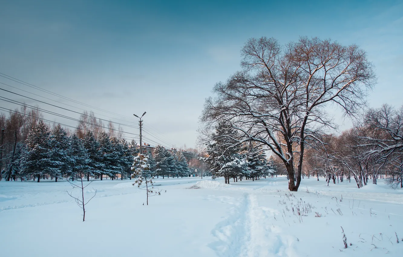 Photo wallpaper winter, the sky, snow, trees, nature, the city, sky, nature