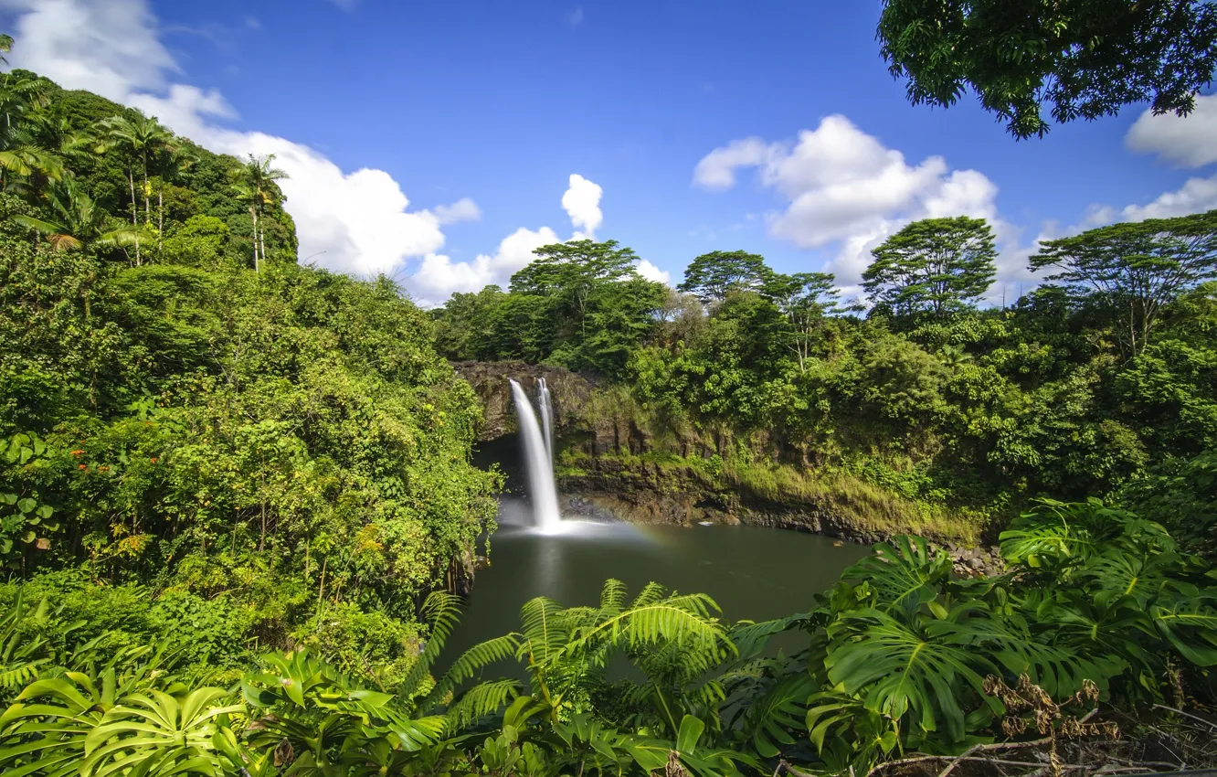 Photo wallpaper forest, tropics, waterfall, Hawaii, Hawaii, Hilo, Rainbow Falls