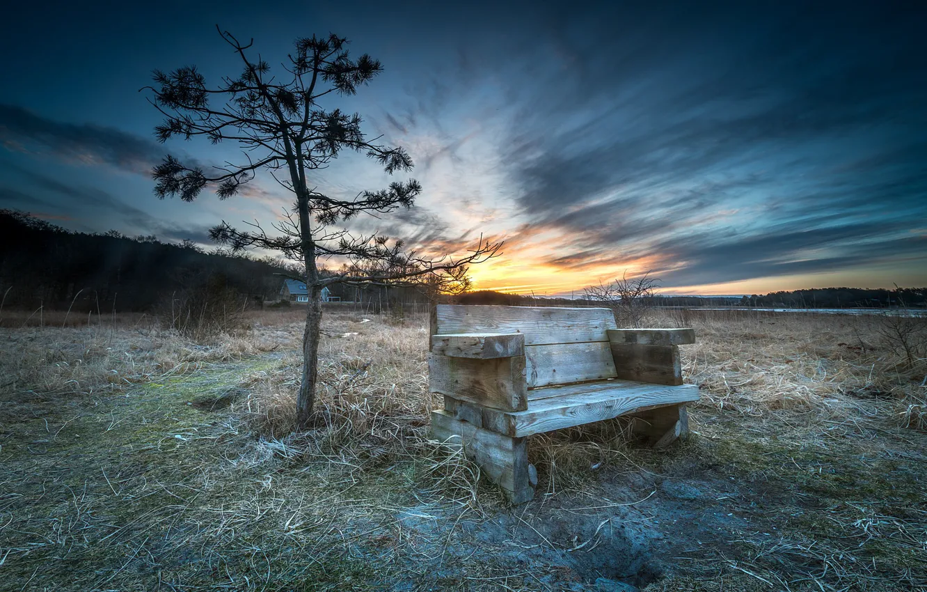 Photo wallpaper trees, sunset, bench