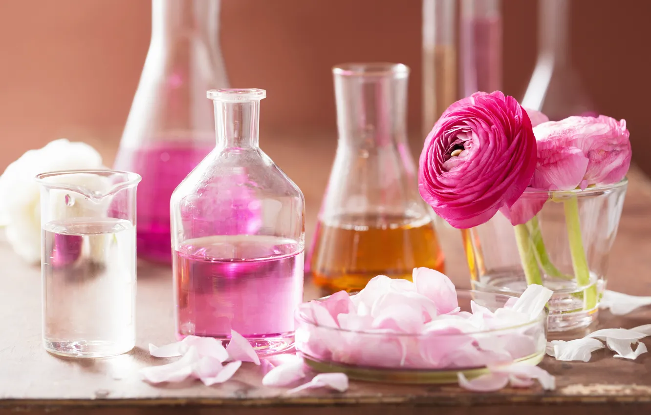 Photo wallpaper oil, roses, petals, pink, Spa, Spa, roses, perfume