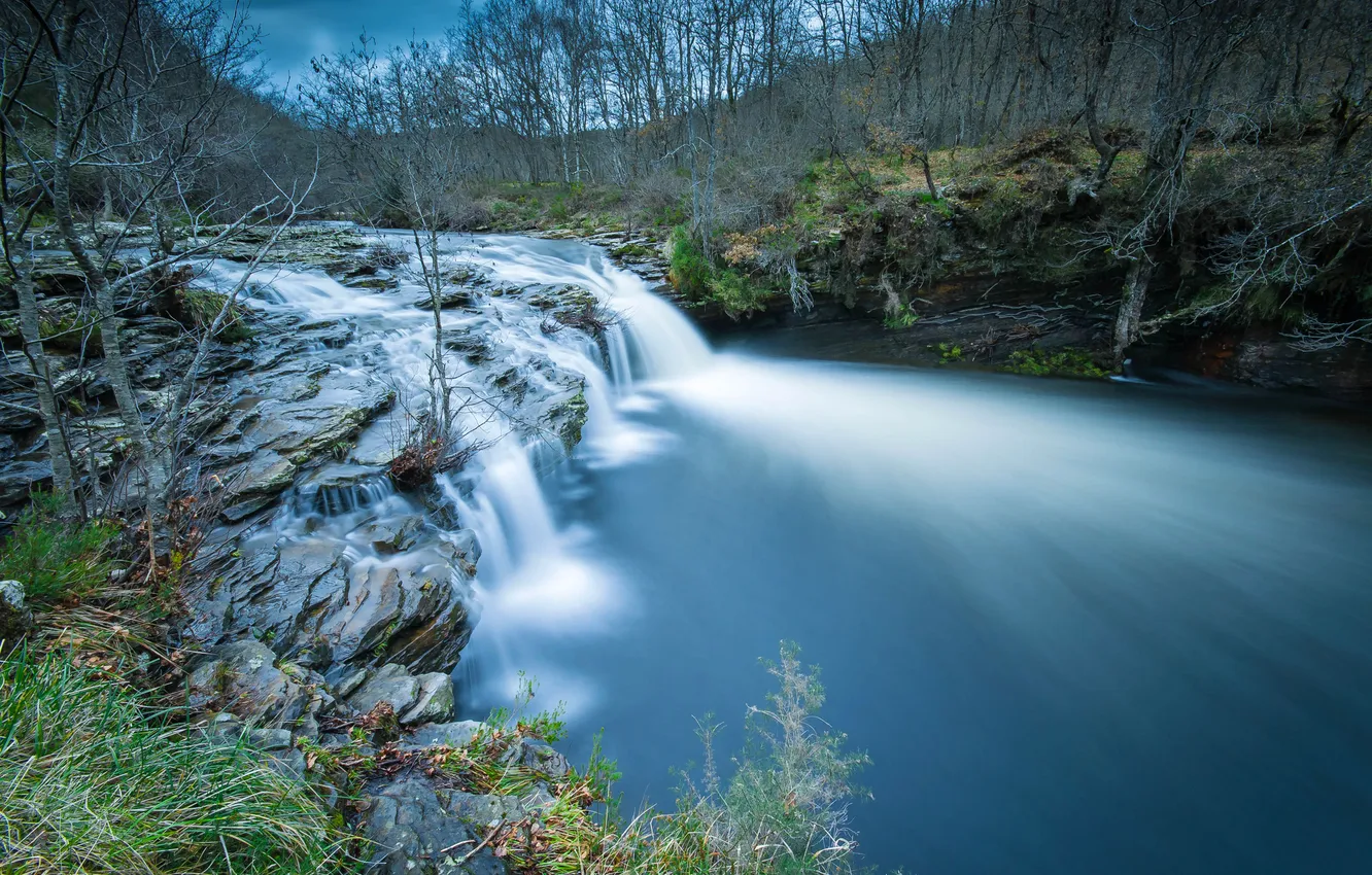 Photo wallpaper forest, the sky, trees, river, stream, thresholds