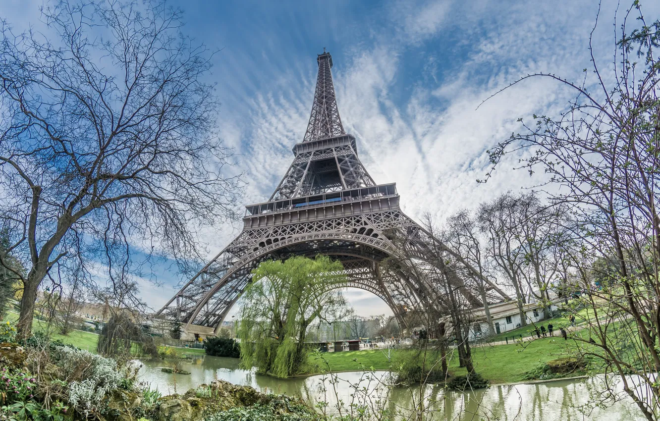 Photo wallpaper trees, Paris, tower
