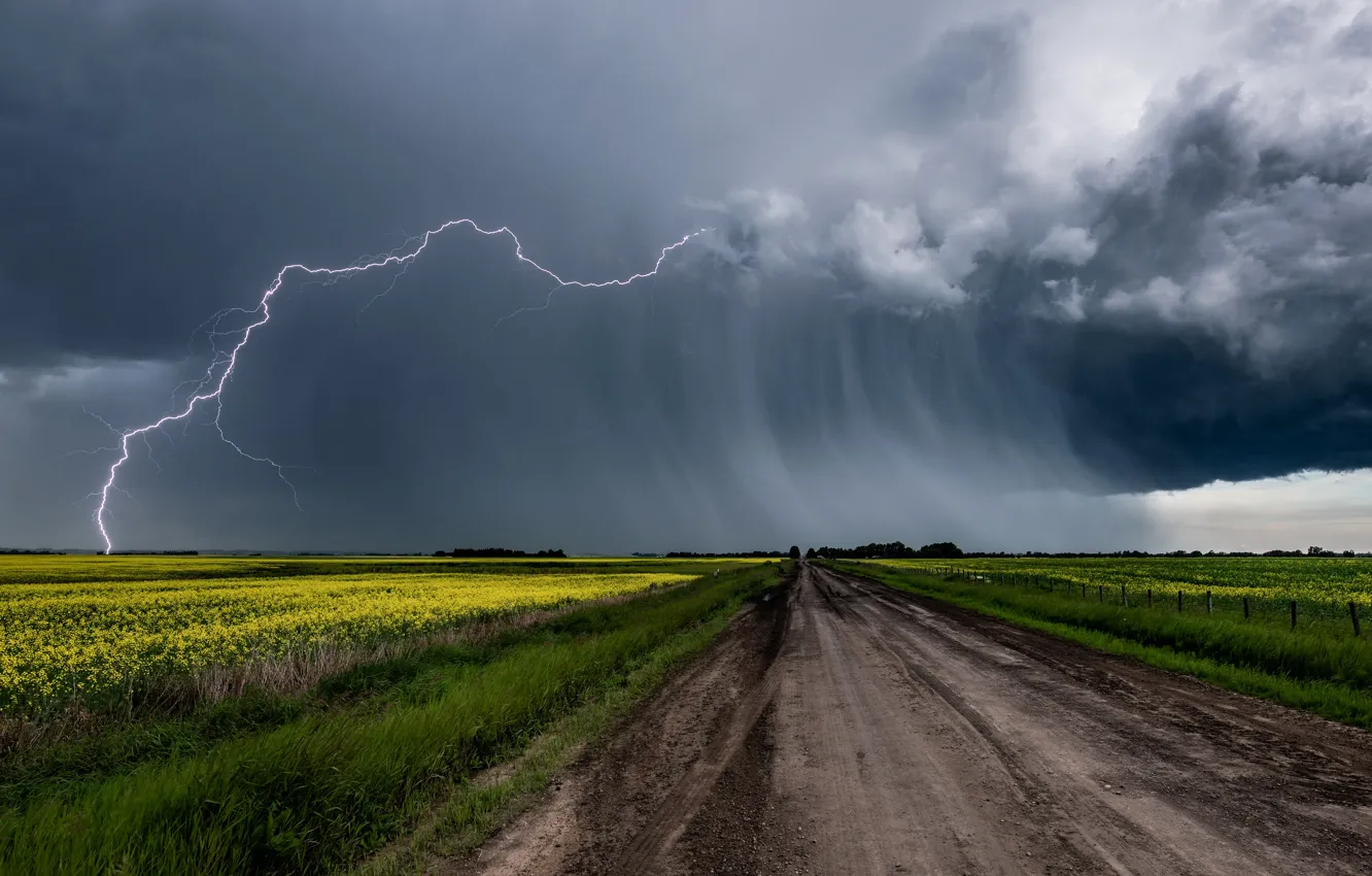 Photo wallpaper road, the storm, field, the sky, grass, flowers, clouds, element