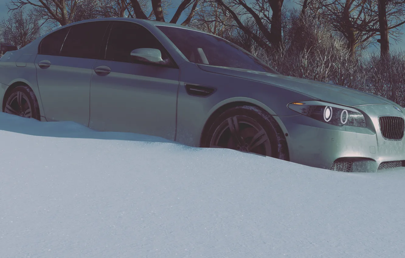 Photo wallpaper HDR, BMW, game, wood, winter, tree, F10, 5