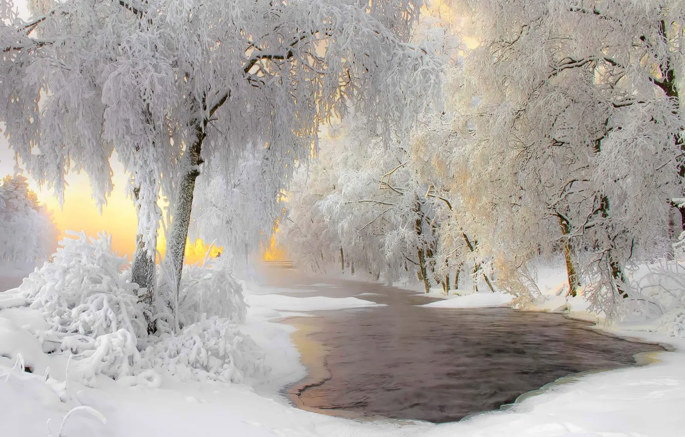 Photo wallpaper winter, frost, snow, Finland, Kuhmo
