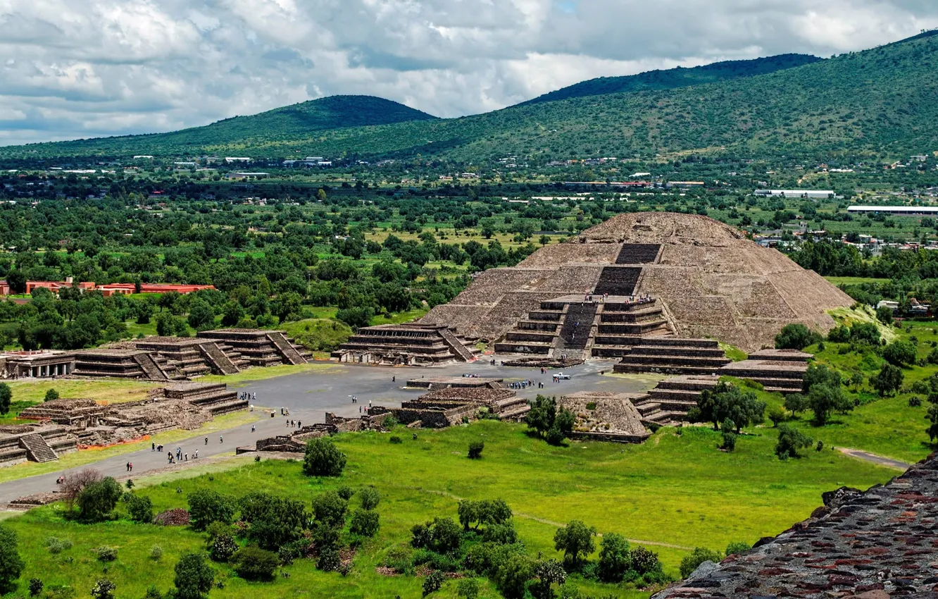 Photo wallpaper forest, the sky, clouds, landscape, mountains, nature, plant, horizon