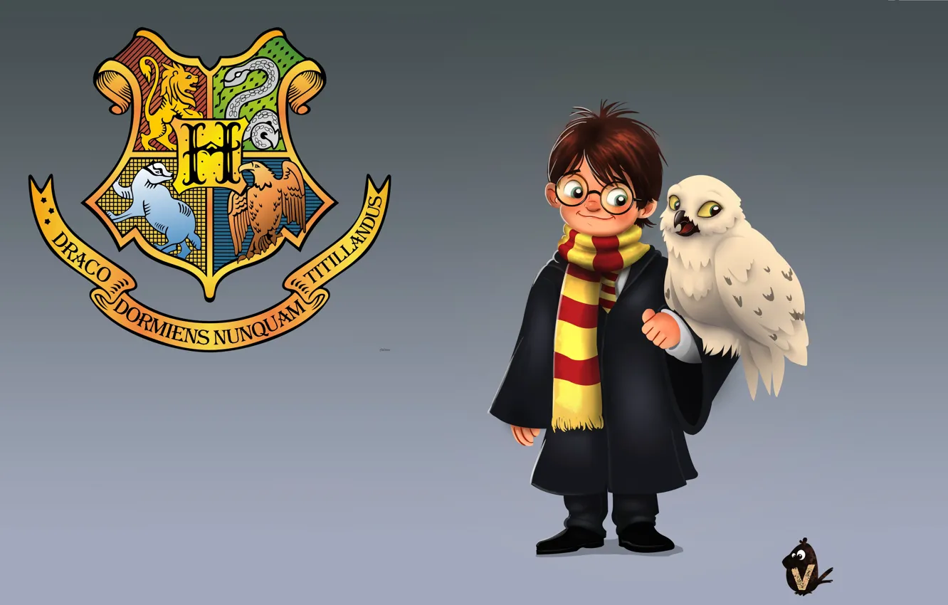Photo wallpaper art, Harry Potter, children's, snowy owl, Vipin Jacob, Hedwig, Harry and Hedwig, Hedwig