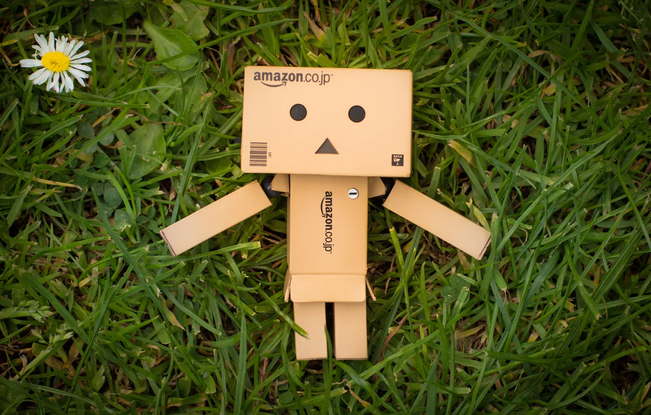 Photo wallpaper flower, toy, Danbo